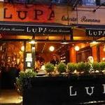 Lupa
