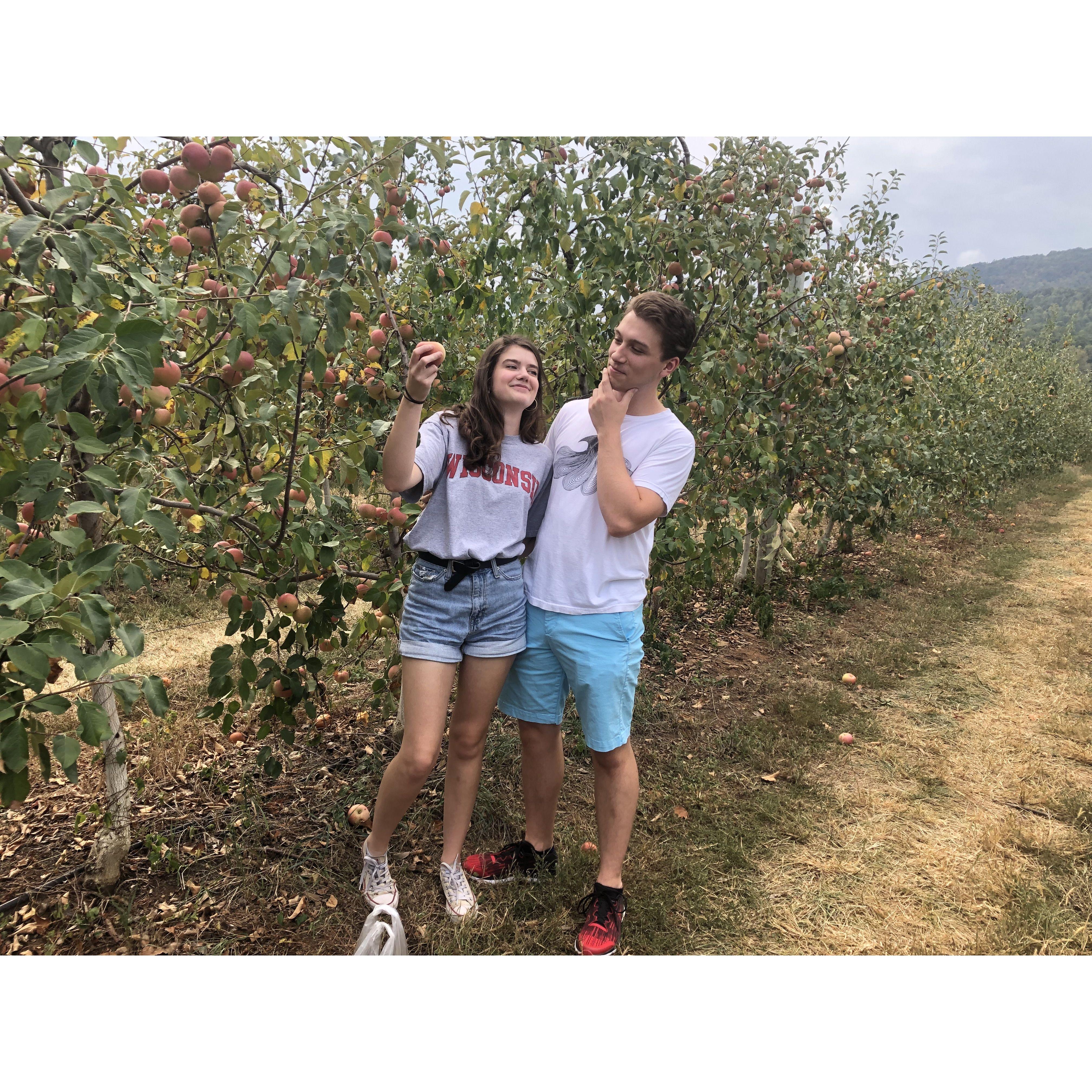 September 2019 - Crozet, VA
