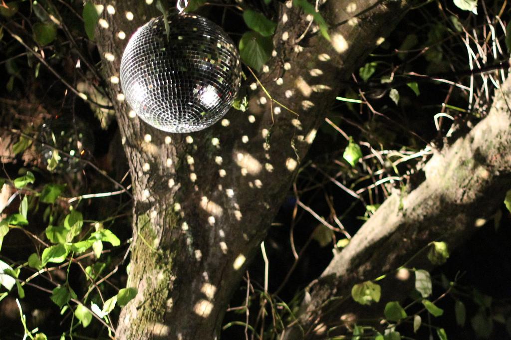 The Wedding Website of Sarah Montgomery and Conor Tuttle