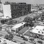 Wynwood