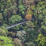 Místico Arenal Hanging Bridges
