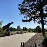 Denver Museum of Nature & Science