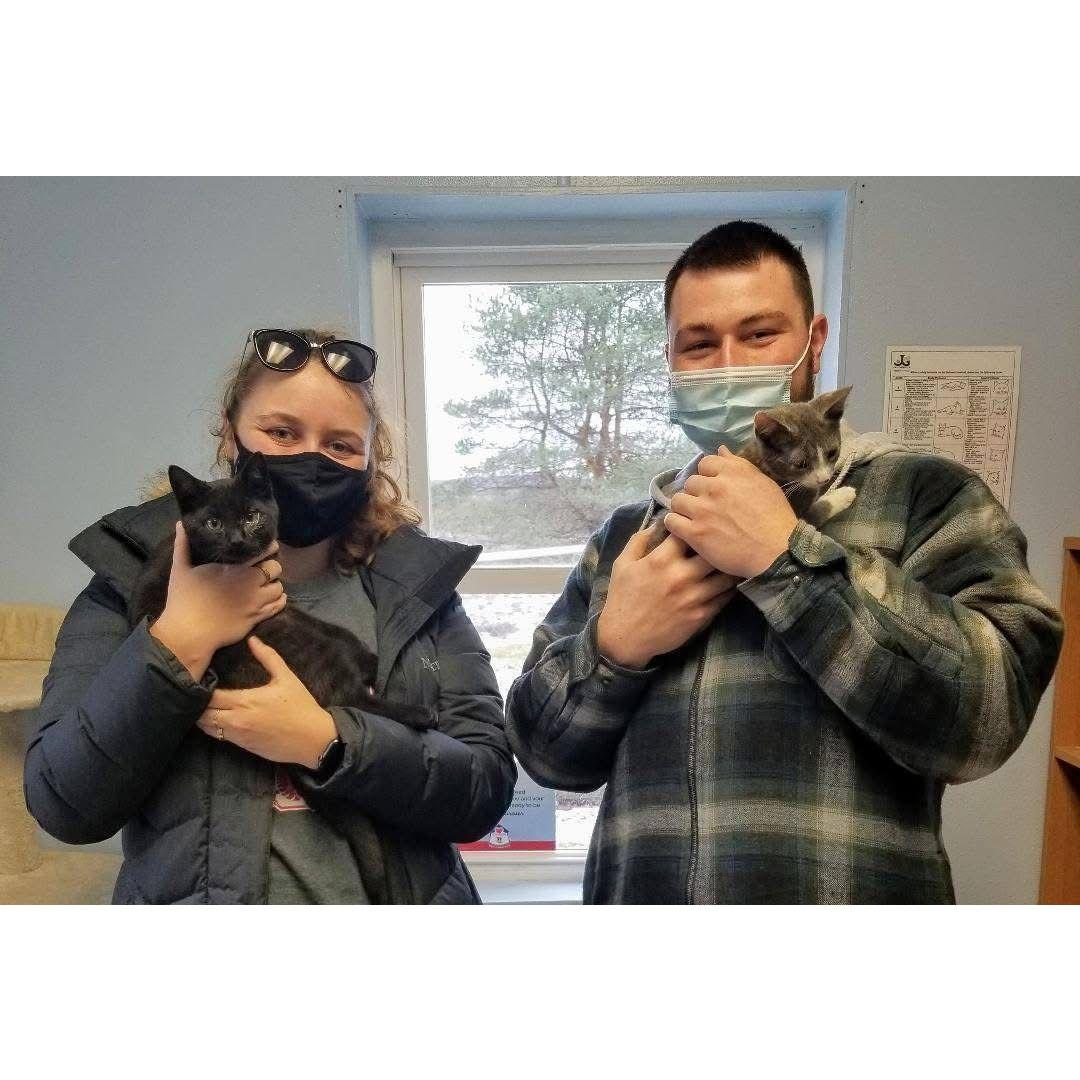 Adopting Arlo & Bean ⋆˚🐾˖° 2021
