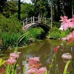 Fabyan Villa Museum & Japanese Garden