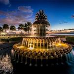 Pineapple Fountain