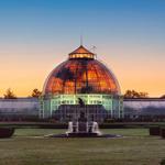 Anna Scripps Whitcomb Conservatory