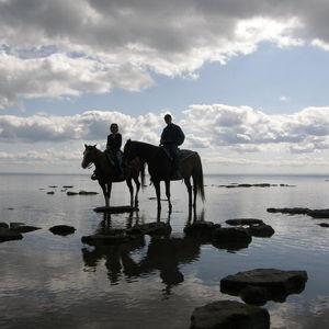 Horseback Riding On Honeymoon for Two