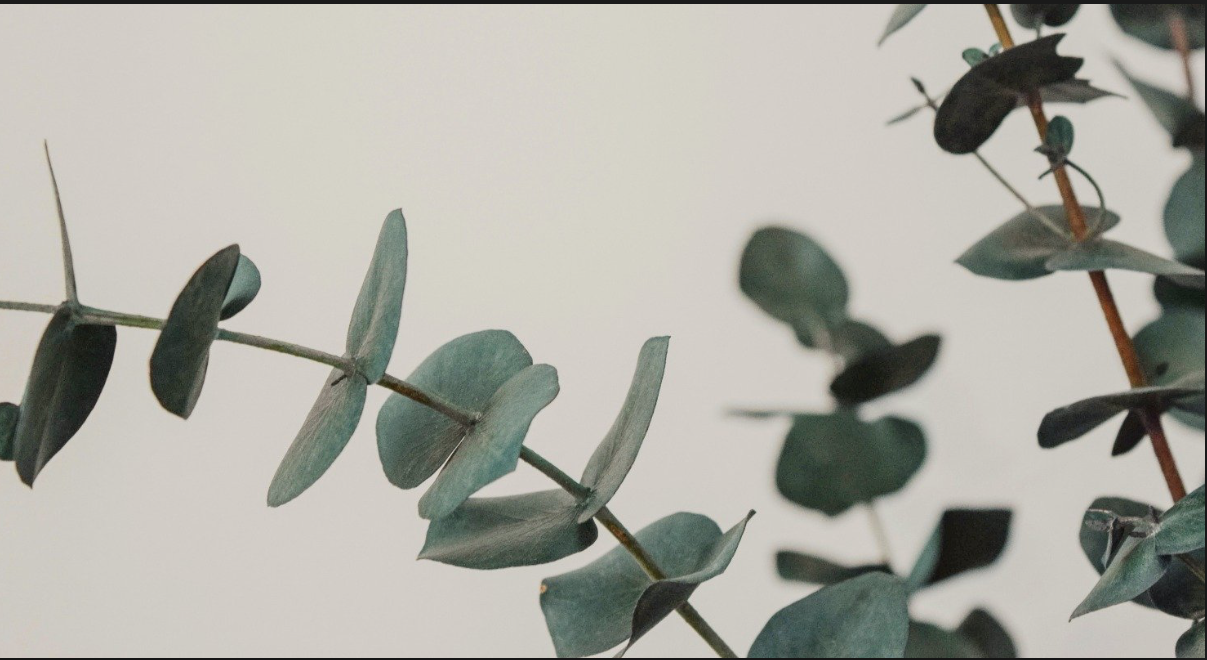 Footer image