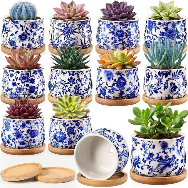 Ferrochef 12 Pcs 3" Ceramic Chinoiserie Succulent Plant Pot Blue and White Porcelain Planter with Bamboo Tray Drainage Hole Mini Chinese Flower Jardiniere for Cactus Herbs Home Office Indoor Decor