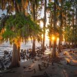 Fontainebleau State Park