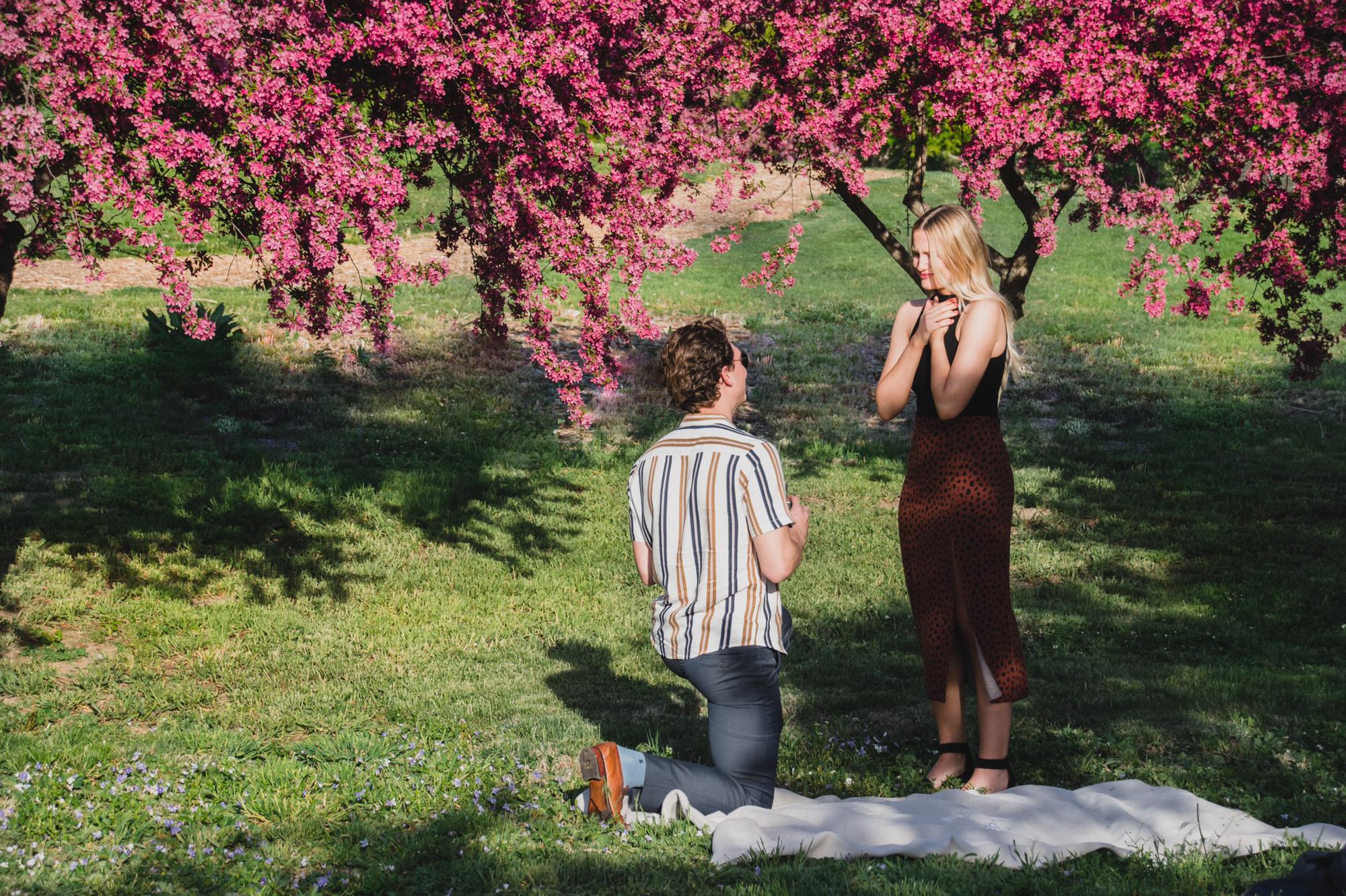The Proposal
April 30, 2021