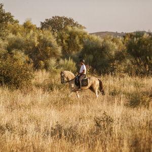 Horseback Ride-Honeymoon