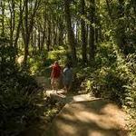 Discovery Park