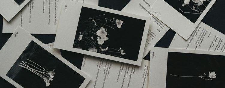 The Wedding Website of Michael Pauls and Sydney Koelper