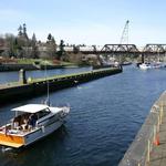 Ballard Locks Fish Ladder