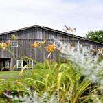 White Pines Ranch