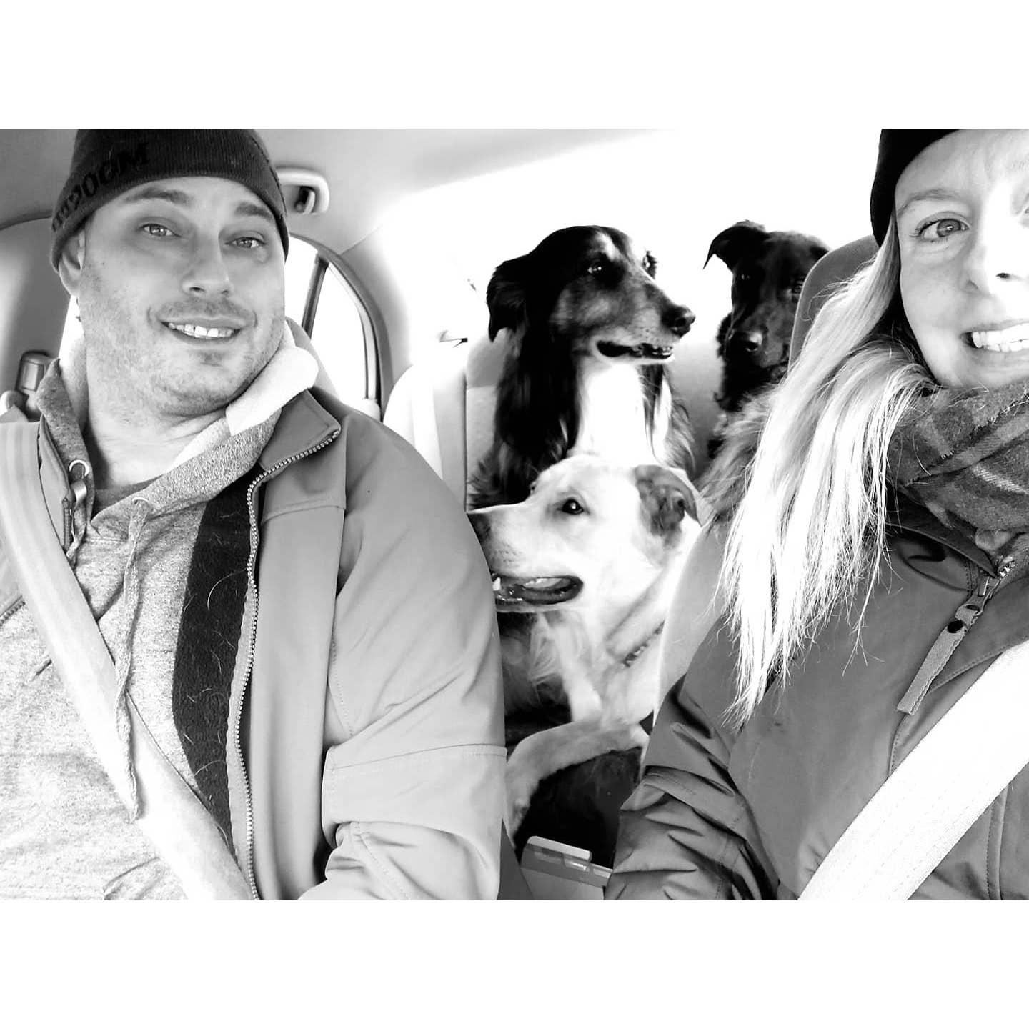 Family Car ride to the Doggo Park! 2020