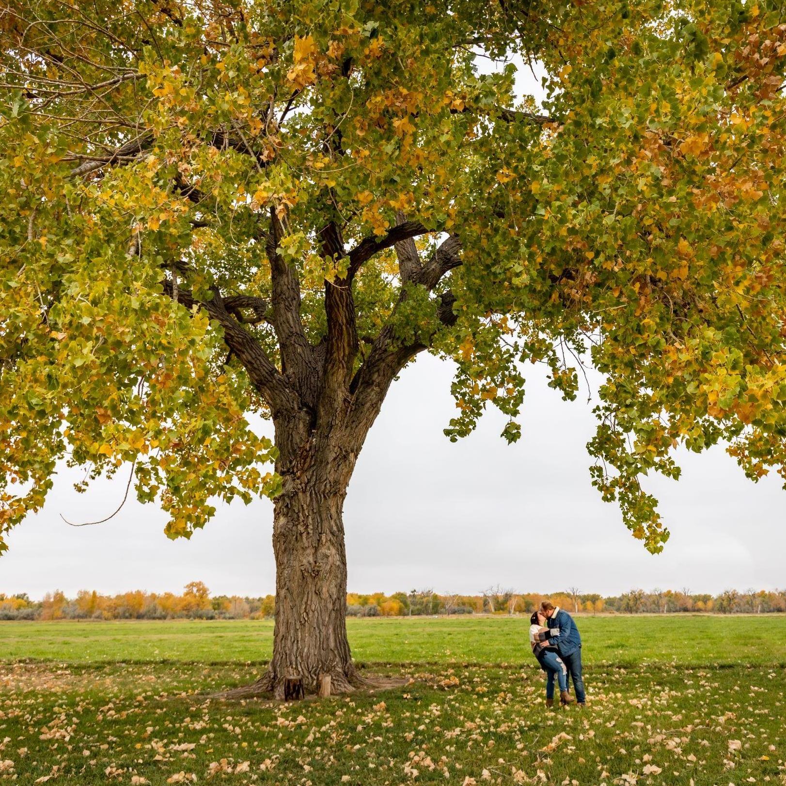 The tree we will be getting married under!
