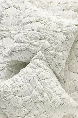 Constance Cloud Jersey Euro Sham