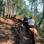 Vail Stables