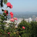 Local Hikes and Walking Trails