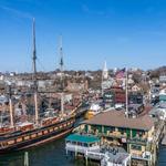 Newport Viator Tours