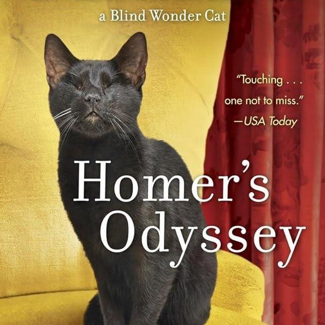 Homer's Odyssey: A Fearless Feline Tale, or How I Learned about Love and Life with a Blind Wonder Cat