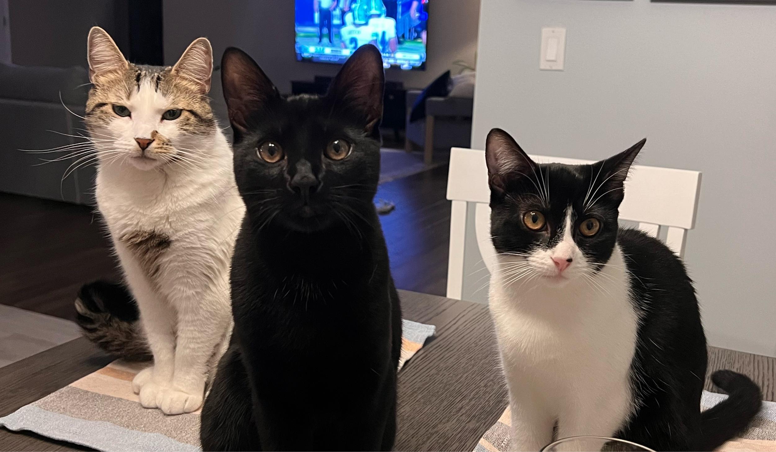 The Wedding Website of Alyssa Beachum and Rob Chessin