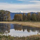 Ridgefield National Wildlife Refuge
