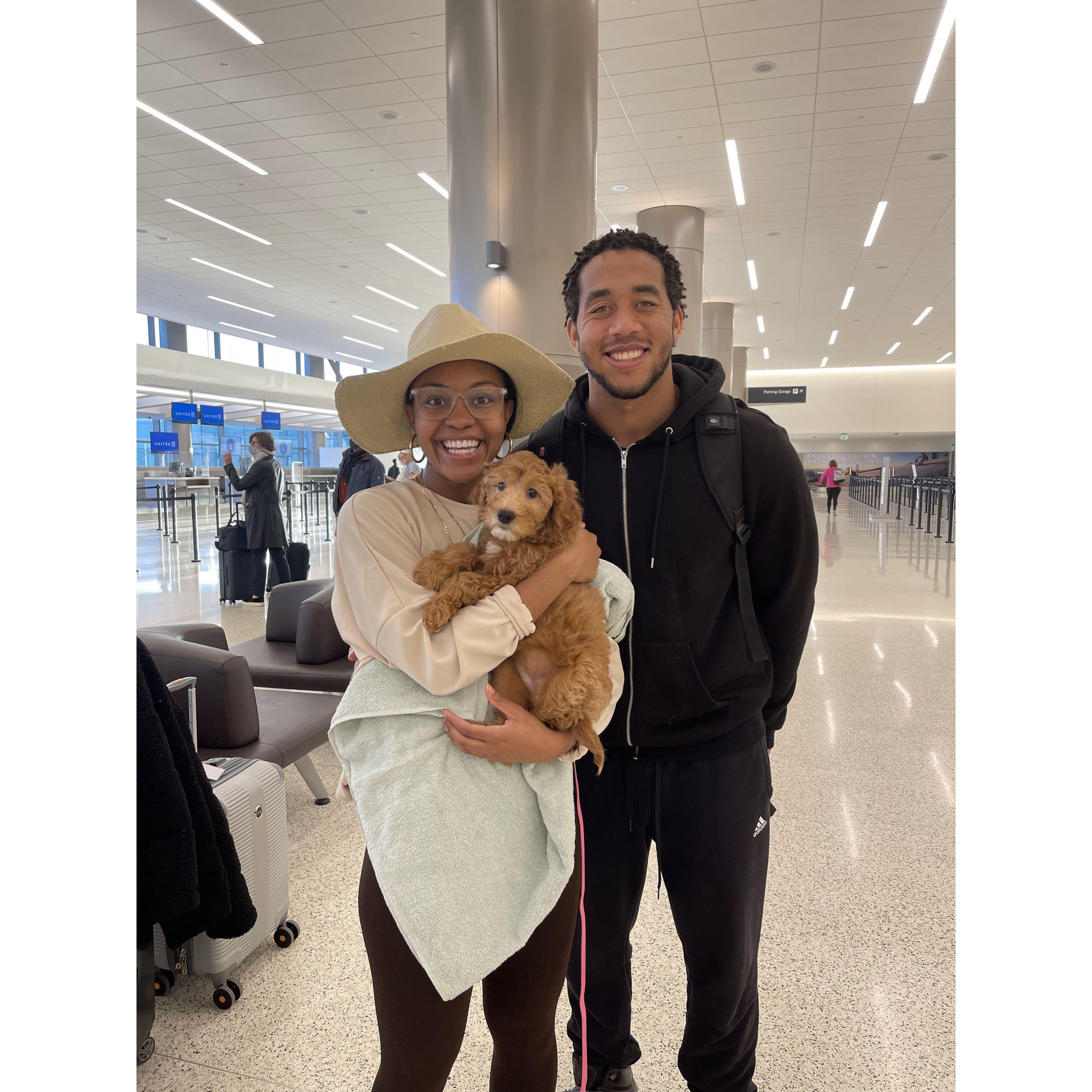 The one where we picked up our fur baby, Winnie