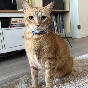Hector Fund
