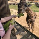 Caldwell Zoo