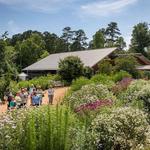 North Carolina Botanical Garden
