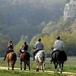 Le Massou - Horse back riding