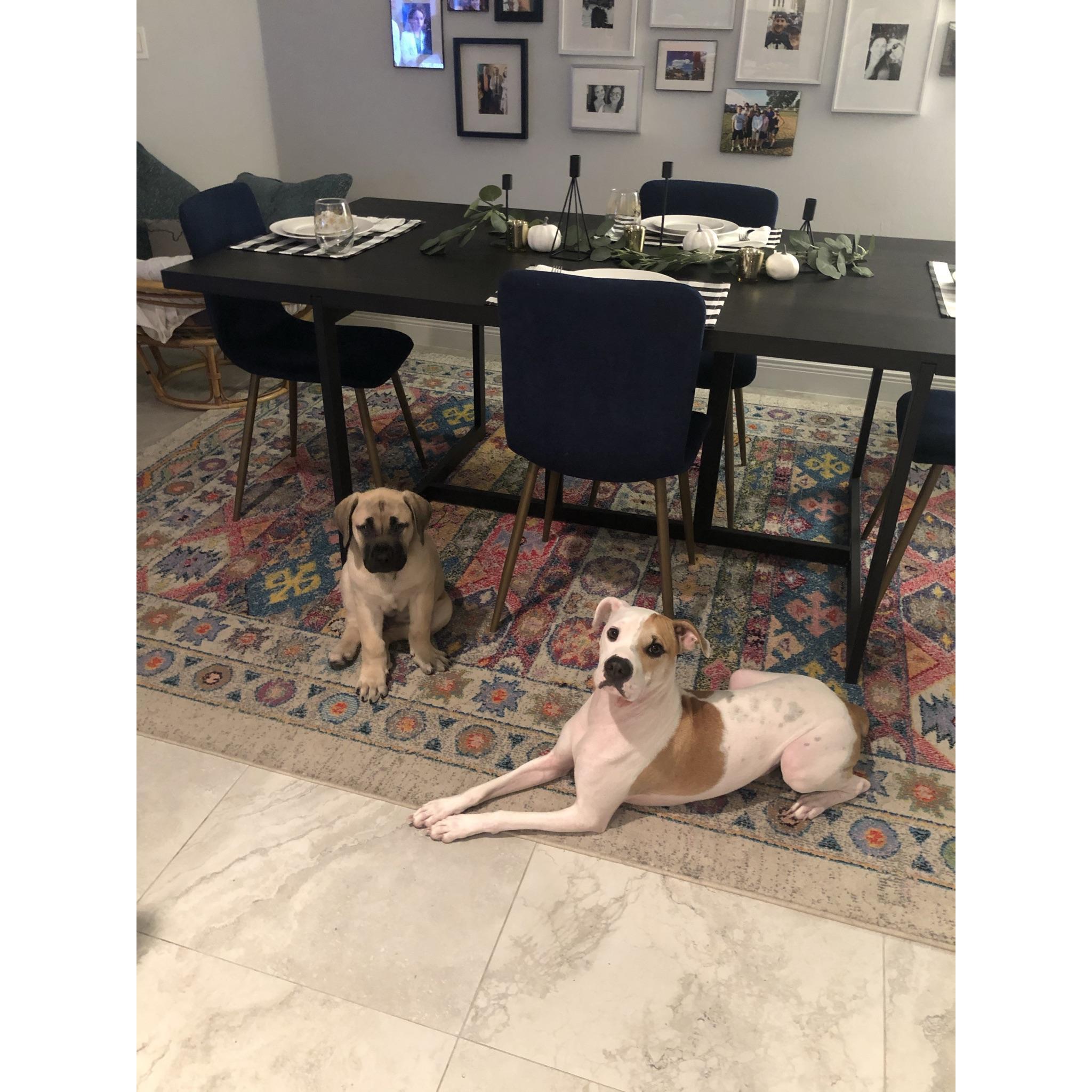 The boys on their first night together!