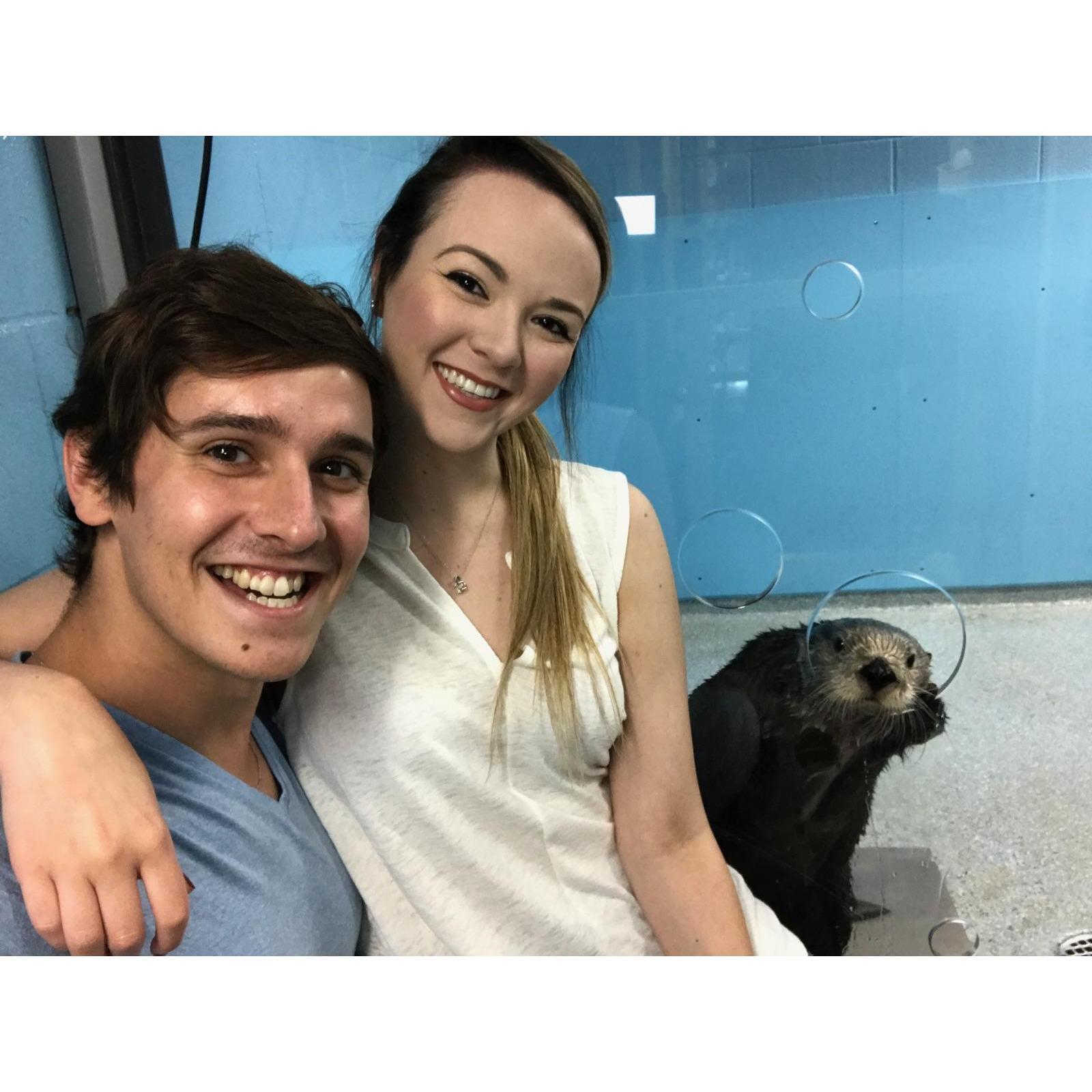 Our otter friend