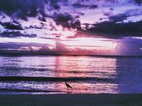 Negril Seven Mile Beach