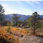 Davis Mountains State Park Headquarters