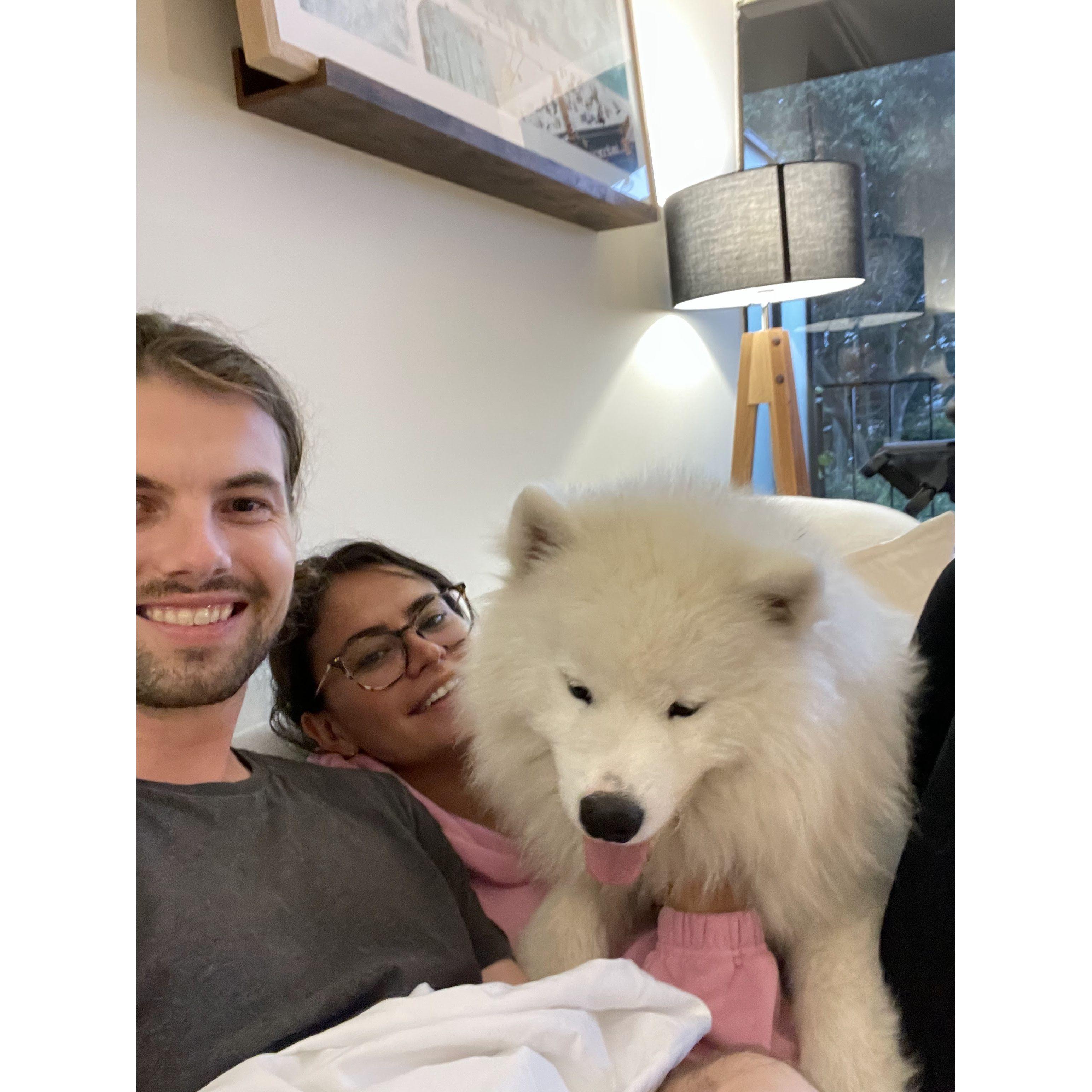 August 2021 — at home with our adopted child, Mischka, our friend's samoyed