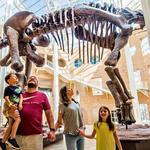 Fernbank Museum | 3D Theater | Forest