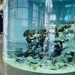 South Carolina Aquarium