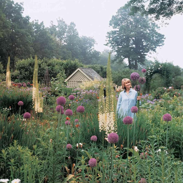 Tami’s dream garden