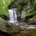 Pisgah Forest