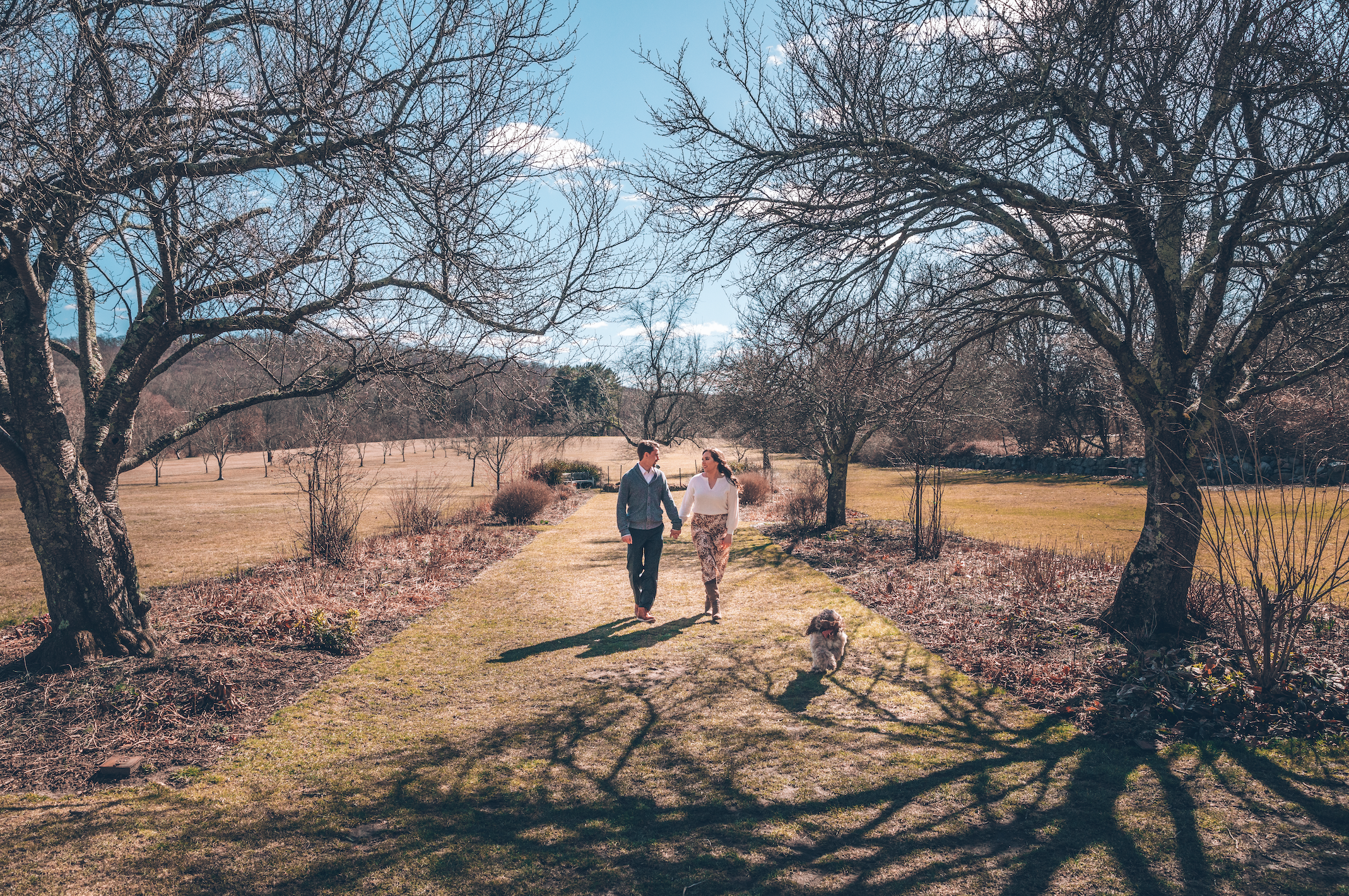 The Wedding Website of Vincent Salandro and Olivia Kathryn Lamanna