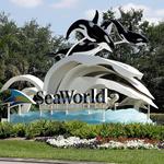 SeaWorld San Antonio