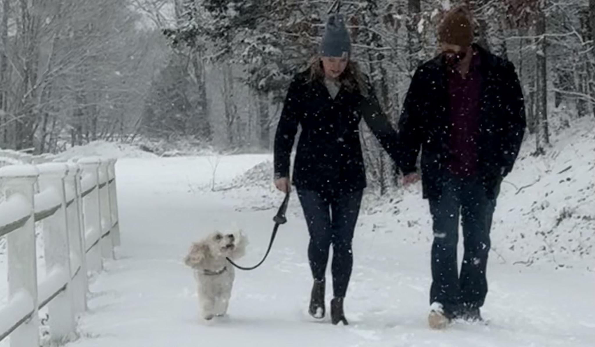 Hero Slideshow Image 4