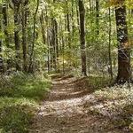 Oregon Ridge Park