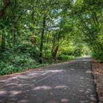 Constitution Trail