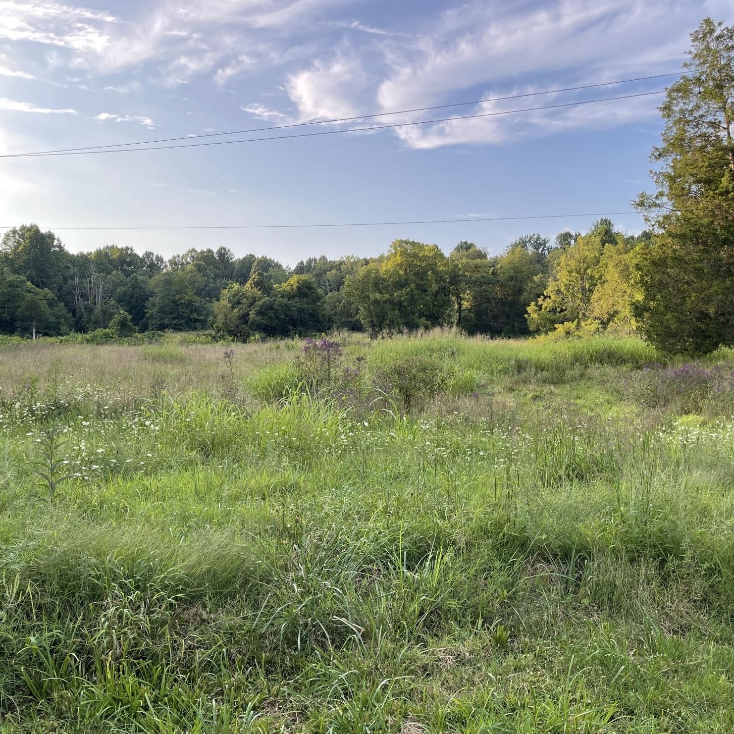 This is a private residence that has a long gravel driveway leading up to the field where parking for the ceremony will be located.