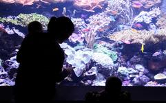 Seattle Aquarium